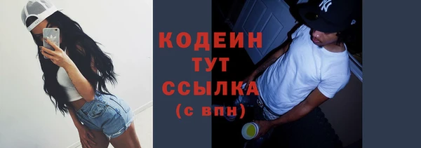 трава Инта