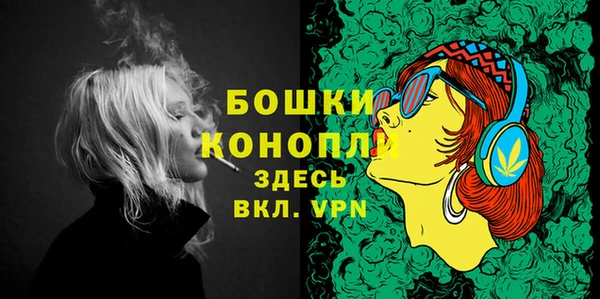 гидра Касимов