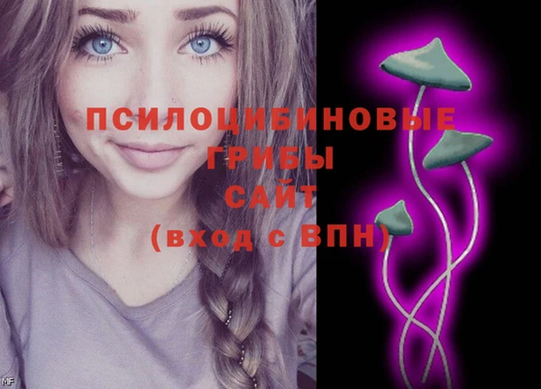 герыч Каменка