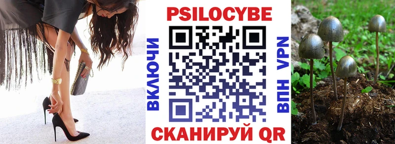 Псилоцибиновые грибы Psilocybe  Черкесск 
